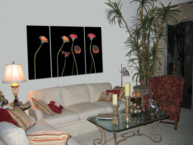 4Daisies on Stems Triptych in Scottsdale Living Rm